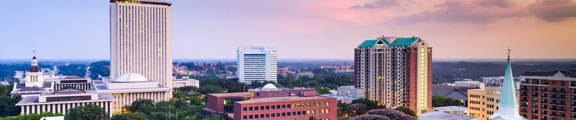 Aerial of Tallahassee