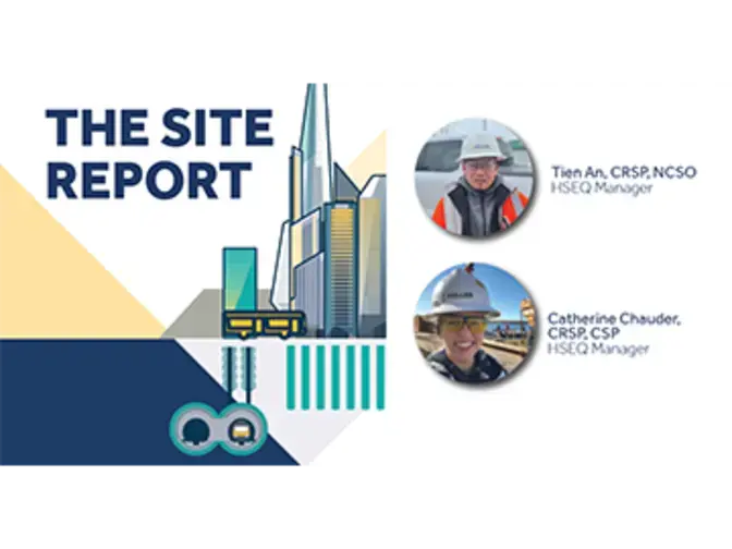 The site report graphic