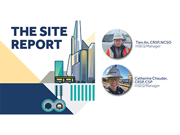 The site report graphic