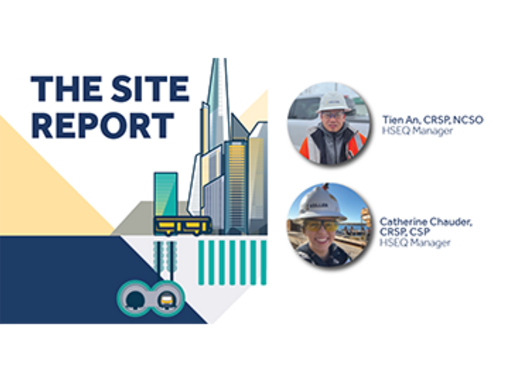 The site report graphic